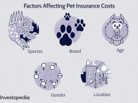 pet-insurance.asp_final-b03b3961816b4eab8ce11003e5cacdcc-1.png