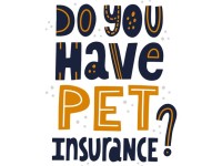 you-have-pet-insurance-quote-hand-drawn-flat-vector-lettering-pet-insurance-concept-flyer-banner-advertising_528592-524-1.jpg